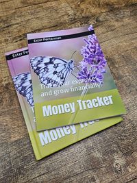 Money tracker luminary logs (2)